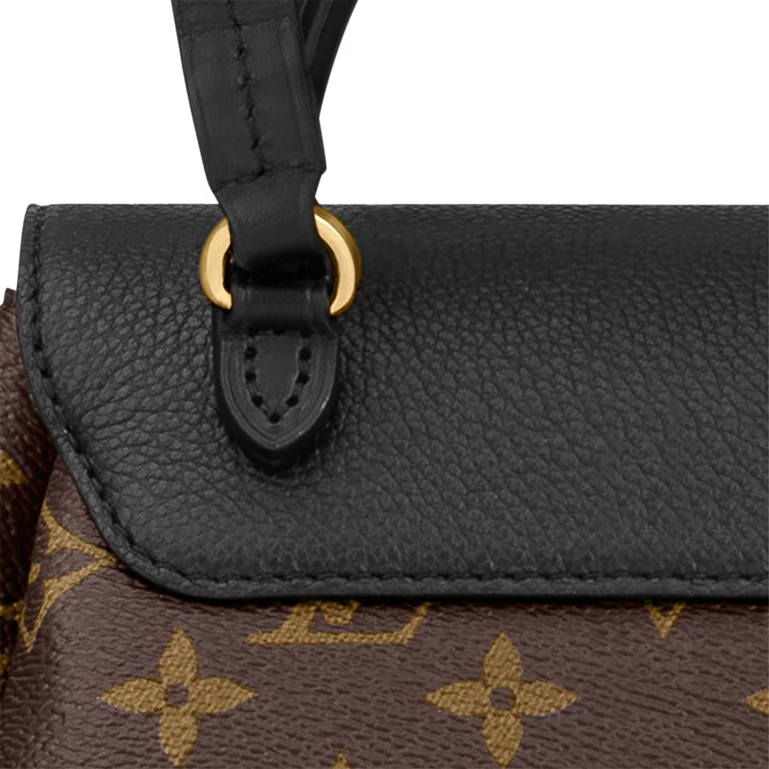 Louis Vuitton Montsouris PM Backpack - Brown