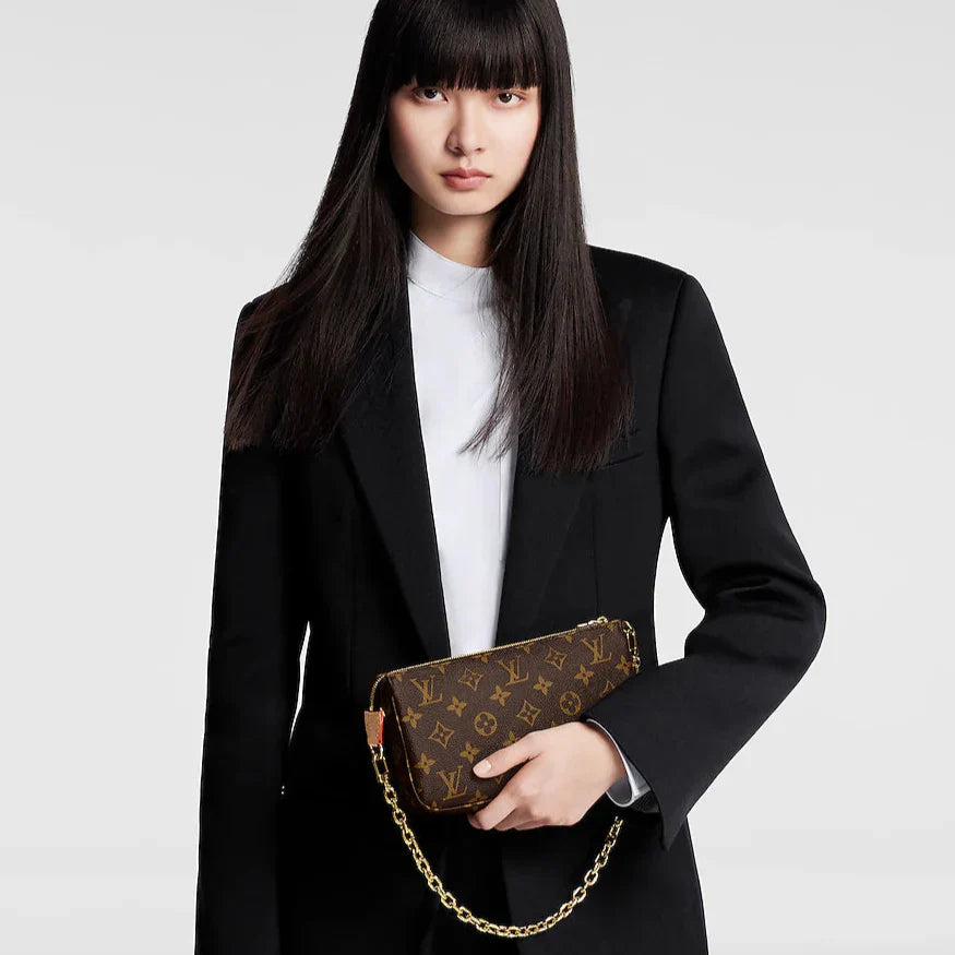 Louis Vuitton Monogram Canvas Pochette Accessoires - Dark Brown