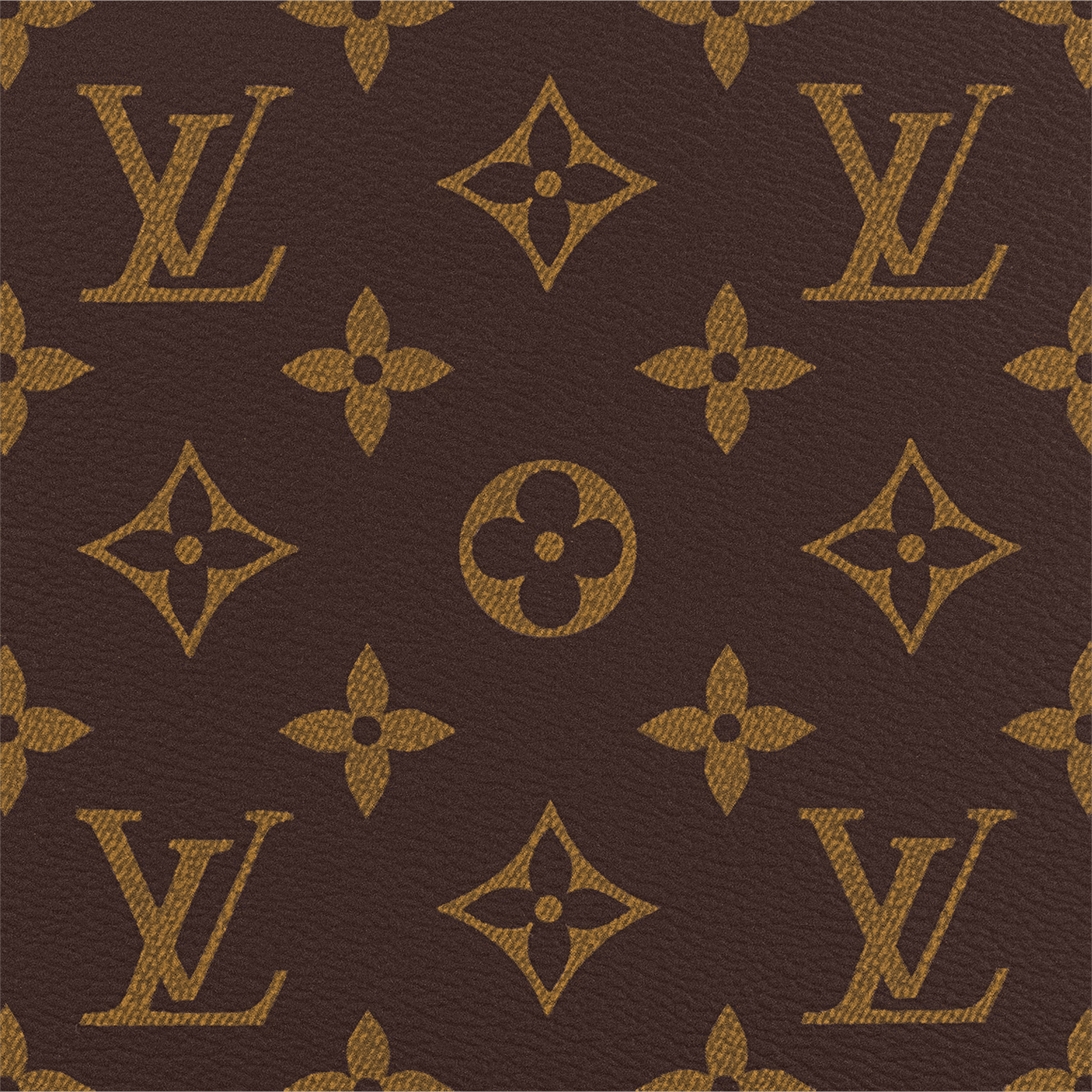 Louis Vuitton Dog Carrier 40 - Brown